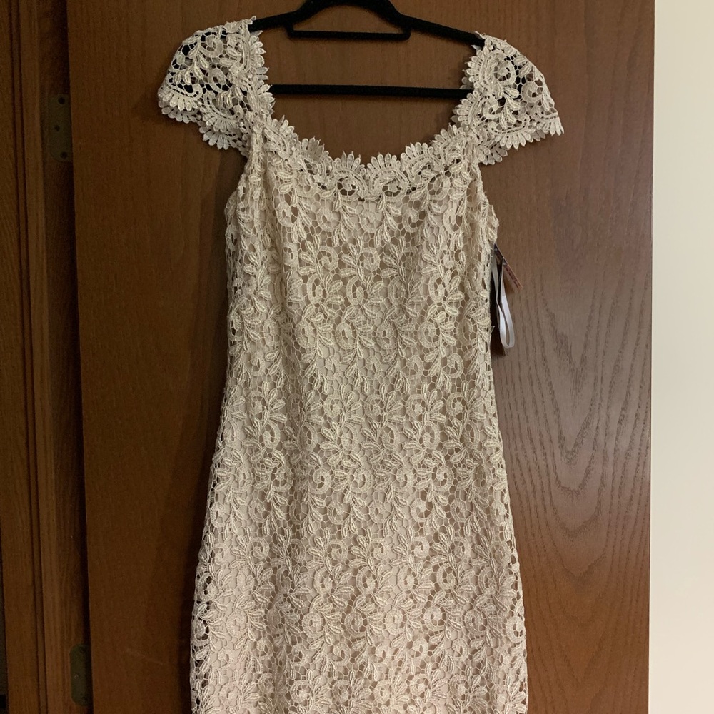 Betsy & Adam NWT champagne lace cocktail dress 8
